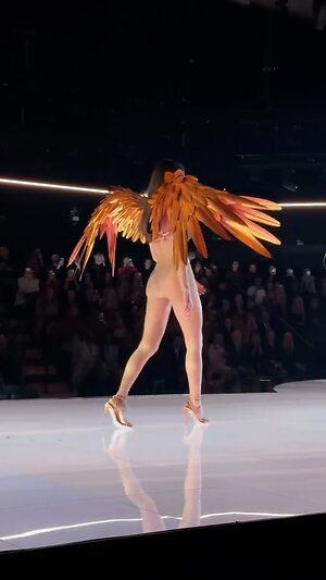 Adriana Lima collection leaked photo #33