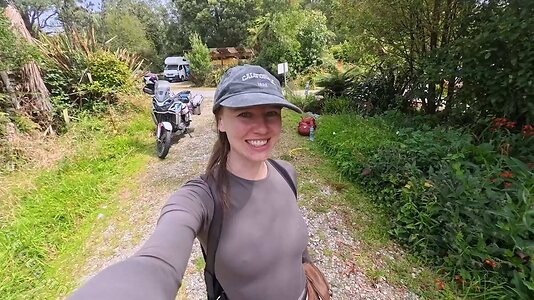 Affe auf Bike photo