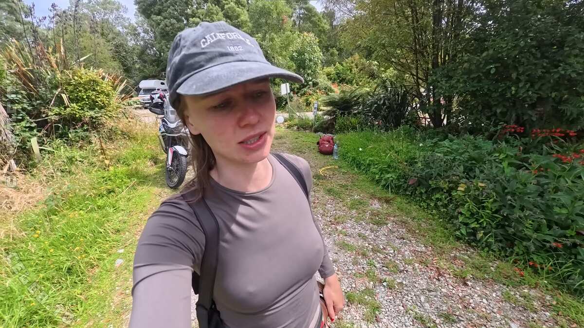 Affe auf Bike photo