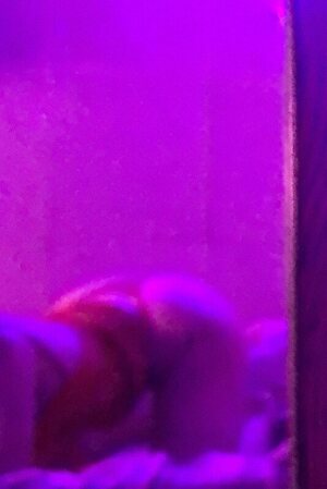 AIXA PALACIO leaked photo #20