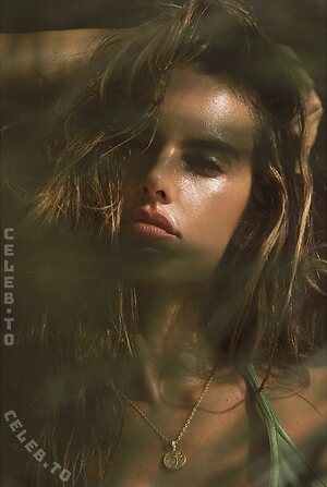 Alessandra Ambrosio Nude Leaked Photo #116