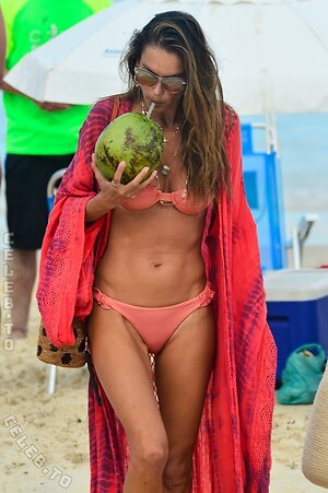 Alessandra Ambrosio Nude Leaked Photo #137