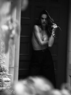 Alessandra Ambrosio Nude Leaked Photo #220