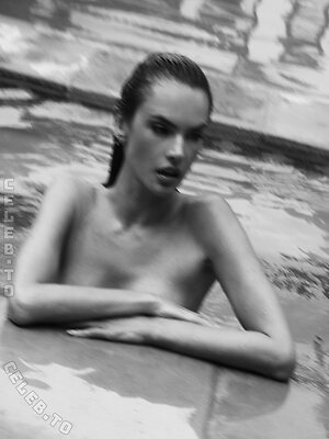 Alessandra Ambrosio Nude Leaked Photo #222