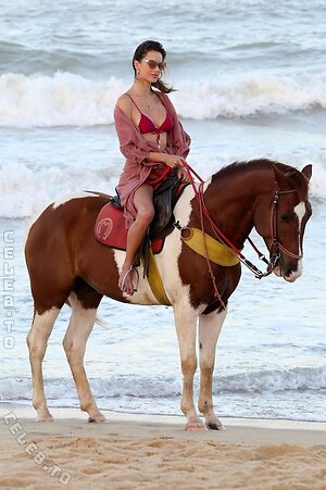 Alessandra Ambrosio Nude Leaked Photo #692