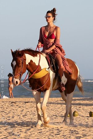 Alessandra Ambrosio Nude Leaked Photo #695