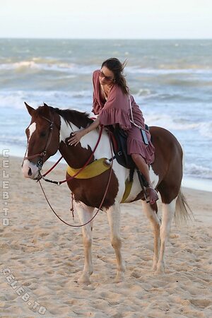 Alessandra Ambrosio Nude Leaked Photo #700