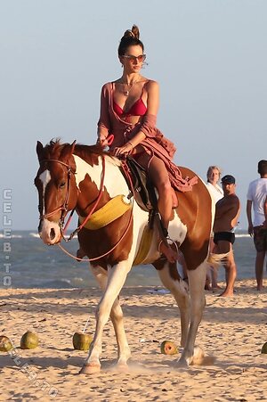 Alessandra Ambrosio Nude Leaked Photo #702