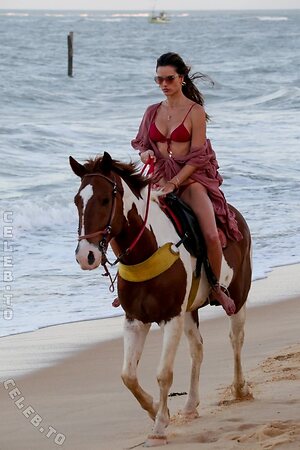 Alessandra Ambrosio photo