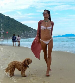 Alessandra Ambrosio photo