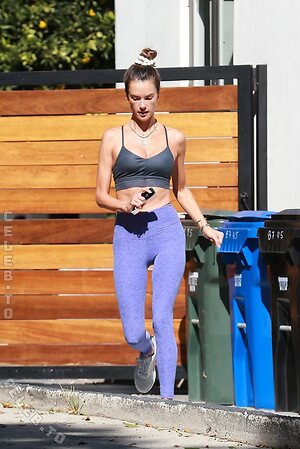 Alessandra Ambrosio Nude Leaked Photo #1677