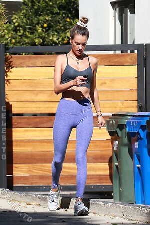 Alessandra Ambrosio Nude Leaked Photo #1683