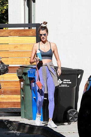 Alessandra Ambrosio Nude Leaked Photo #1684
