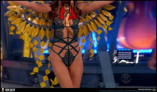 Alessandra Ambrosio leaked photo #2537