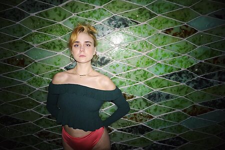 alessandra torresani
