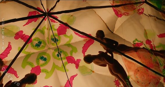 Alicia Agneson Nude Leaked Photo #7