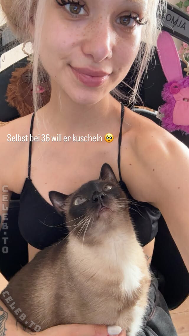 Almostfeline photo