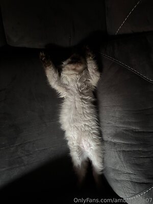 Ambsjadie Nude Leaked Photo #15