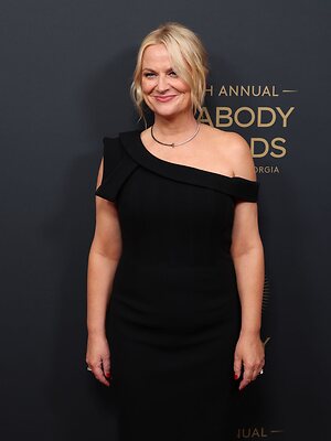 Amy Poehler Nude Leaked Photo #13
