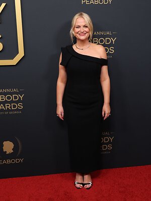 Amy Poehler Nude Leaked Photo #15