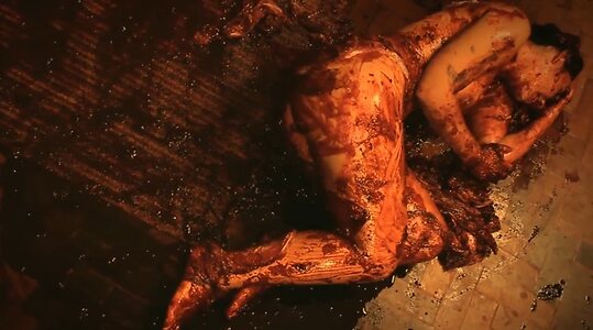 Ana Carolina Braga leaked photo #2