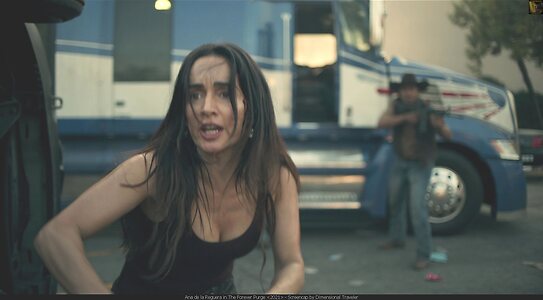 Ana de la Reguera leaked photo #4