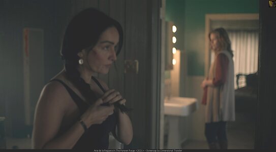 Ana de la Reguera leaked photo #5