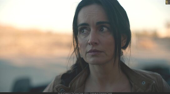 Ana de la Reguera leaked photo #14