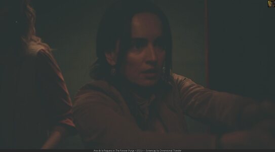 Ana de la Reguera leaked photo #28