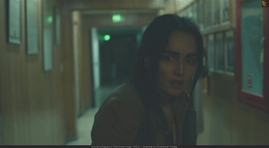 Ana de la Reguera leaked photo #37