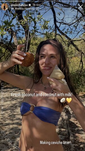 Ana Sofia Fehn Nude Leaked Photo #4