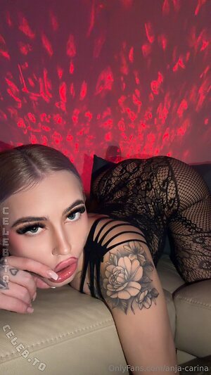 Anja Carina Haslinger Nude Leaked Photo #84