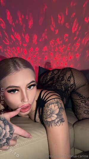 Anja Carina Haslinger Nude Leaked Photo #85