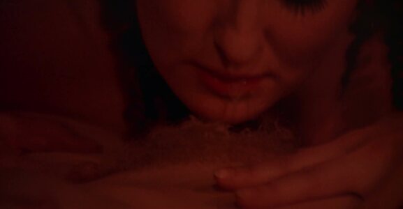Anneka Di Lorenzo leaked photo #13
