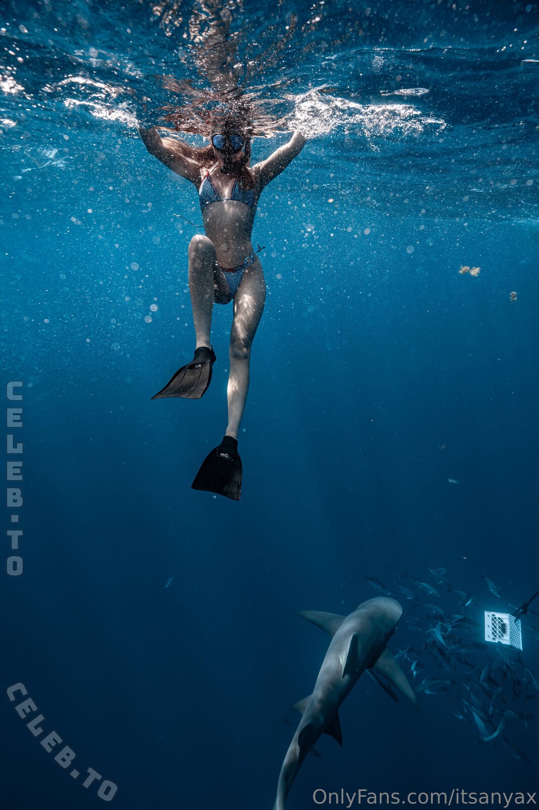 Anya Lacey photo