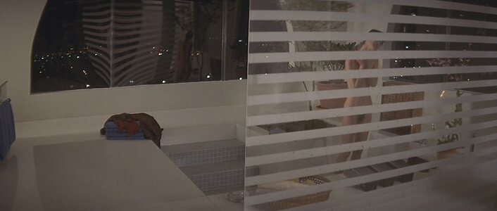 Ariane Koizumi Nude Leaked Photo #2