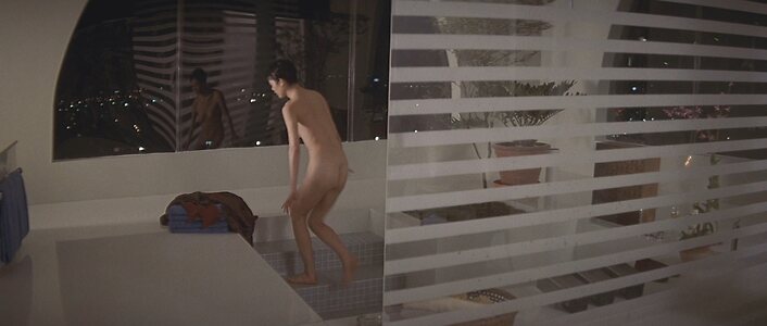Ariane Koizumi Nude Leaked Photo #3