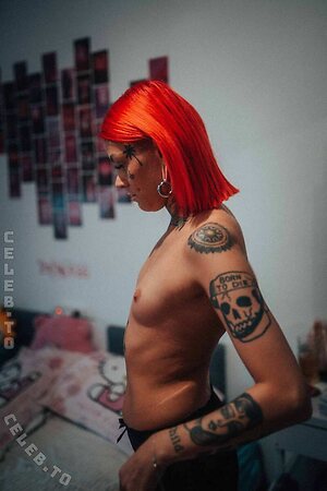 Arijel