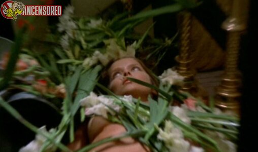 Barbara Bach leaked photo #25