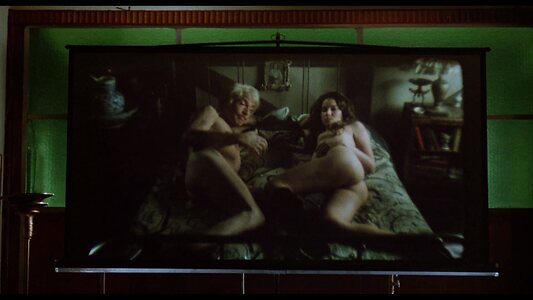 Barbara Hershey leaked photo #11