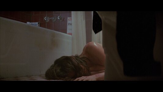 Barbara Hershey leaked photo #18