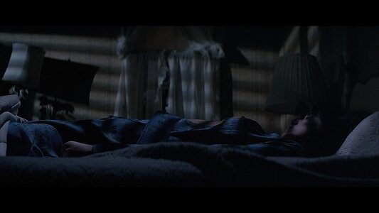 Barbara Hershey leaked photo #21