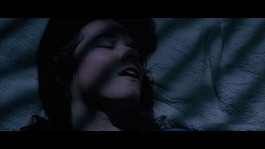 Barbara Hershey leaked photo #24