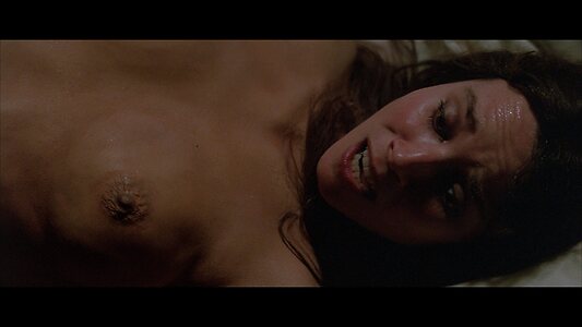 Barbara Hershey leaked photo #25