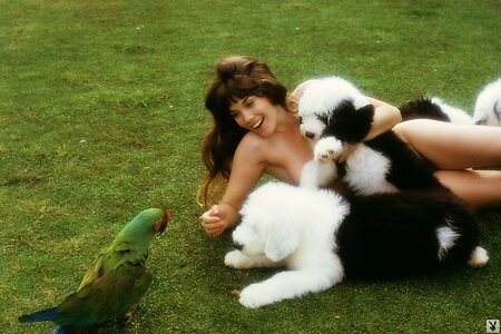 Barbi Benton leaked photo #49