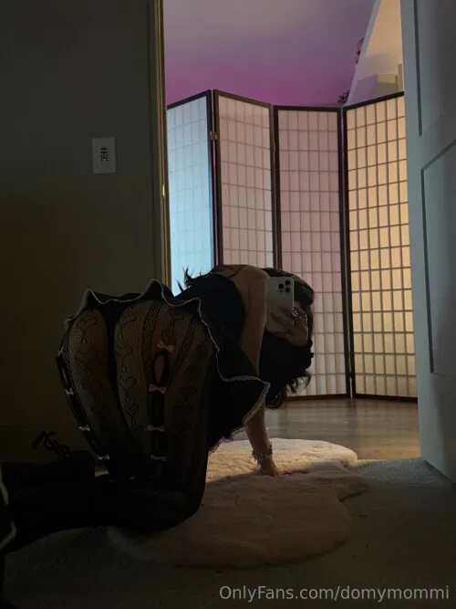 bbaybeebirkin leaked photo #56