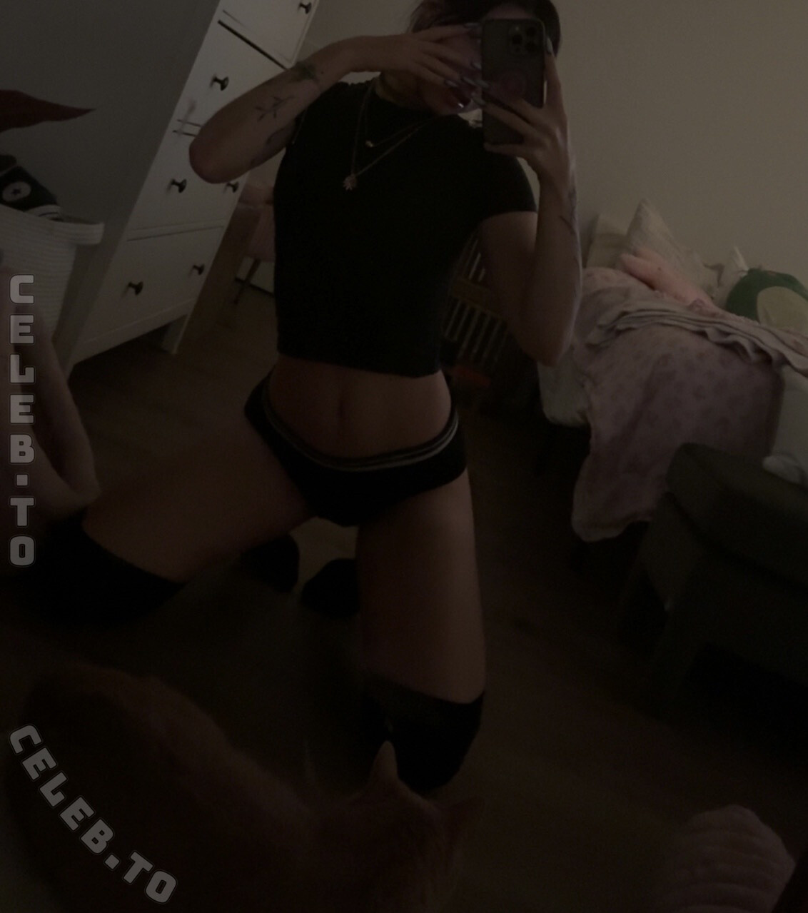 beebee photo