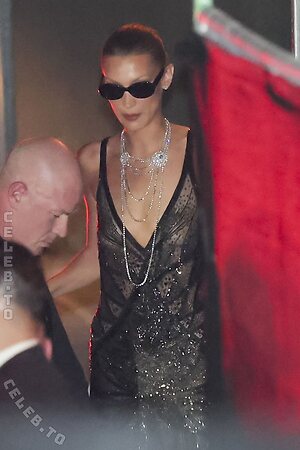 Bella Hadid Nude Leaked Photo #15