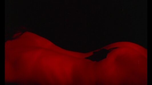 Beni Cardoso Nude Leaked Photo #3