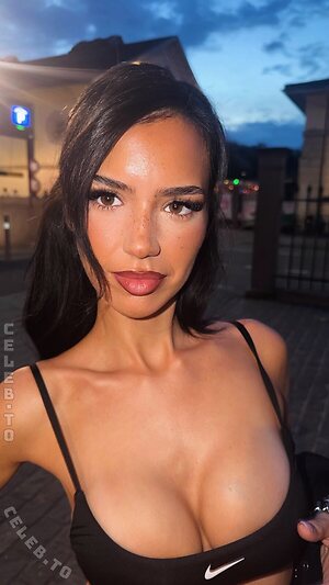 Bleneraademi